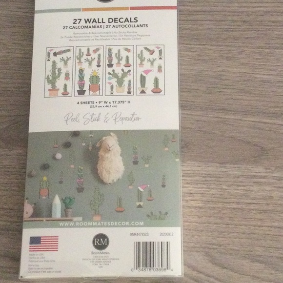 Cactus BOGO - Picture 3 of 4